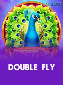 Double Fly
